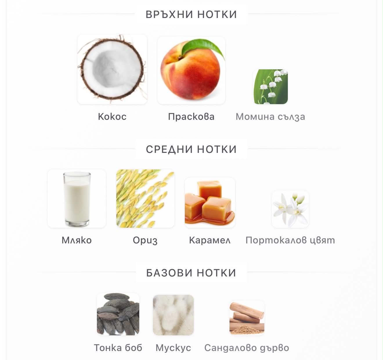 Arabiyat Sugar Matcha Matcha Latte EDP 100мл.