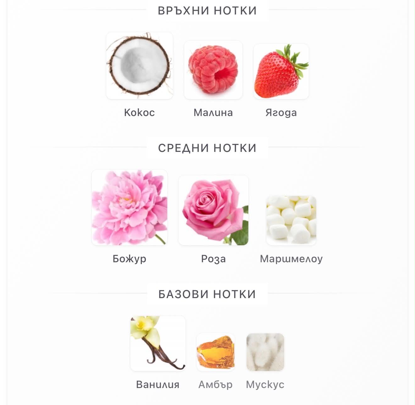 Arabiyat Sugar Cotton Blush EDP 100мл.