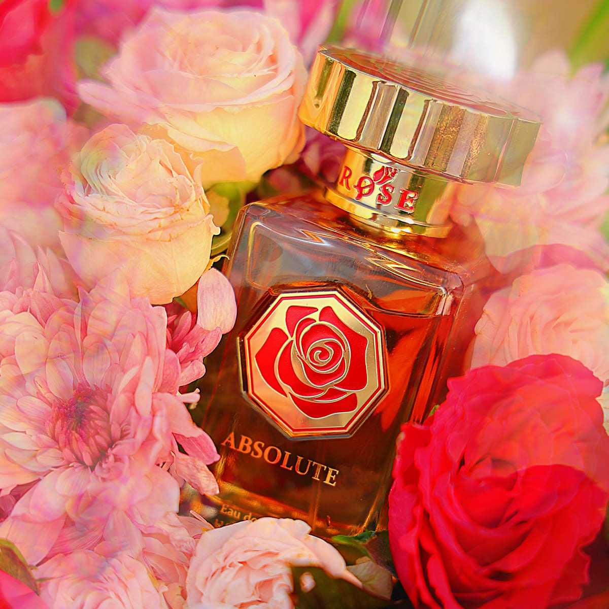 Maison Asrar Rose Absolute Eau de Parfum 100 мл