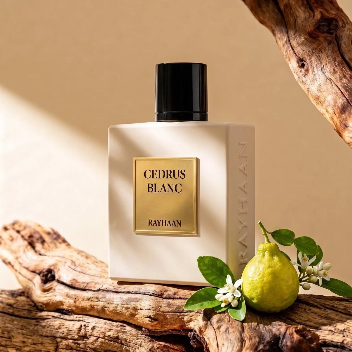 Rayhaan Cedrus Blanc EDP 100мл. - Унисекс