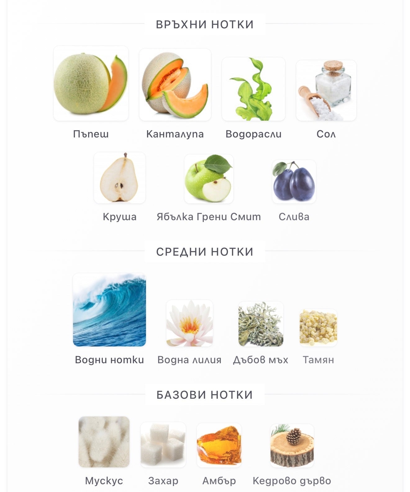 Armaf Odyssey Ba Ha Mas EDP 100мл. - оригинален арабски парфюм | Fragrance of Dubai