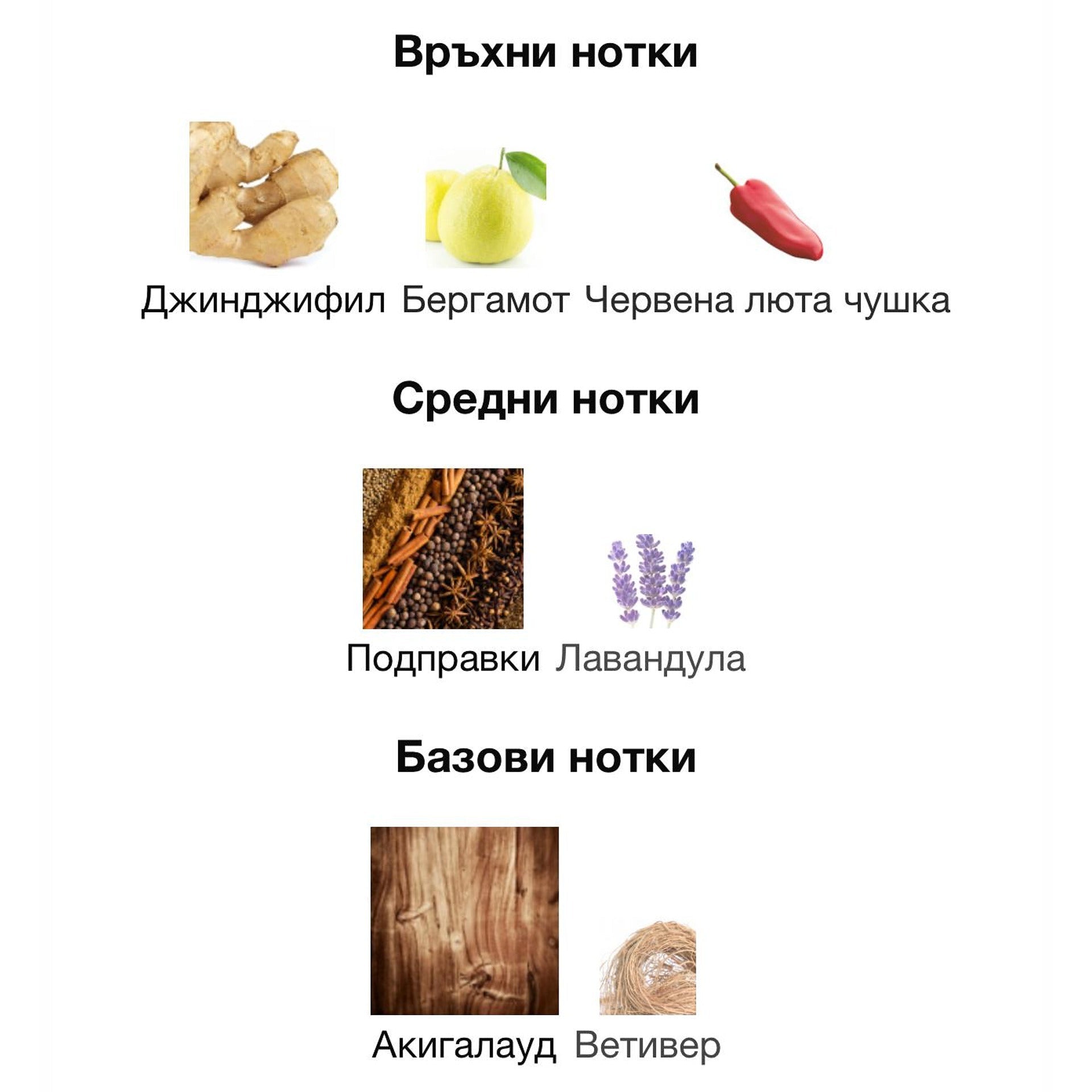 Armaf Private Key to My Success ExDP 100мл. - оригинален арабски парфюм | Aroma Viva BG