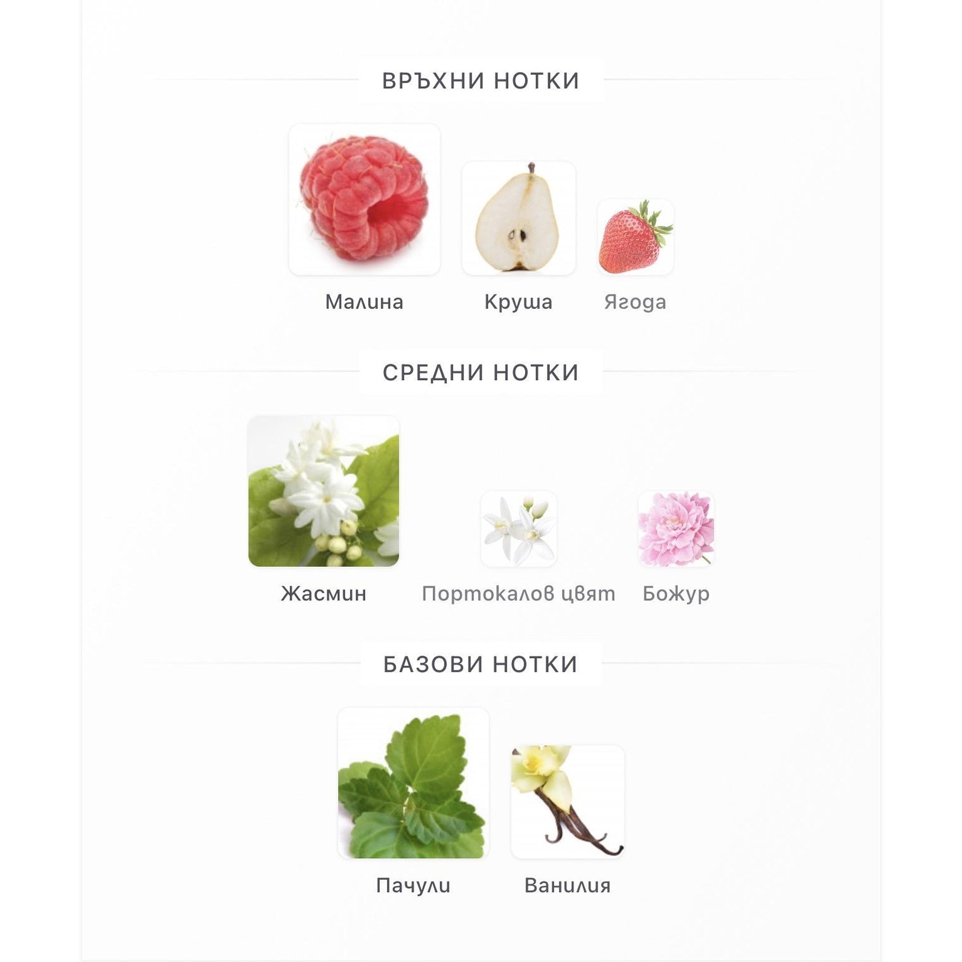 Aurora Scents Aurora Amour EDP 100мл. - оригинален арабски парфюм | Aroma Viva BG