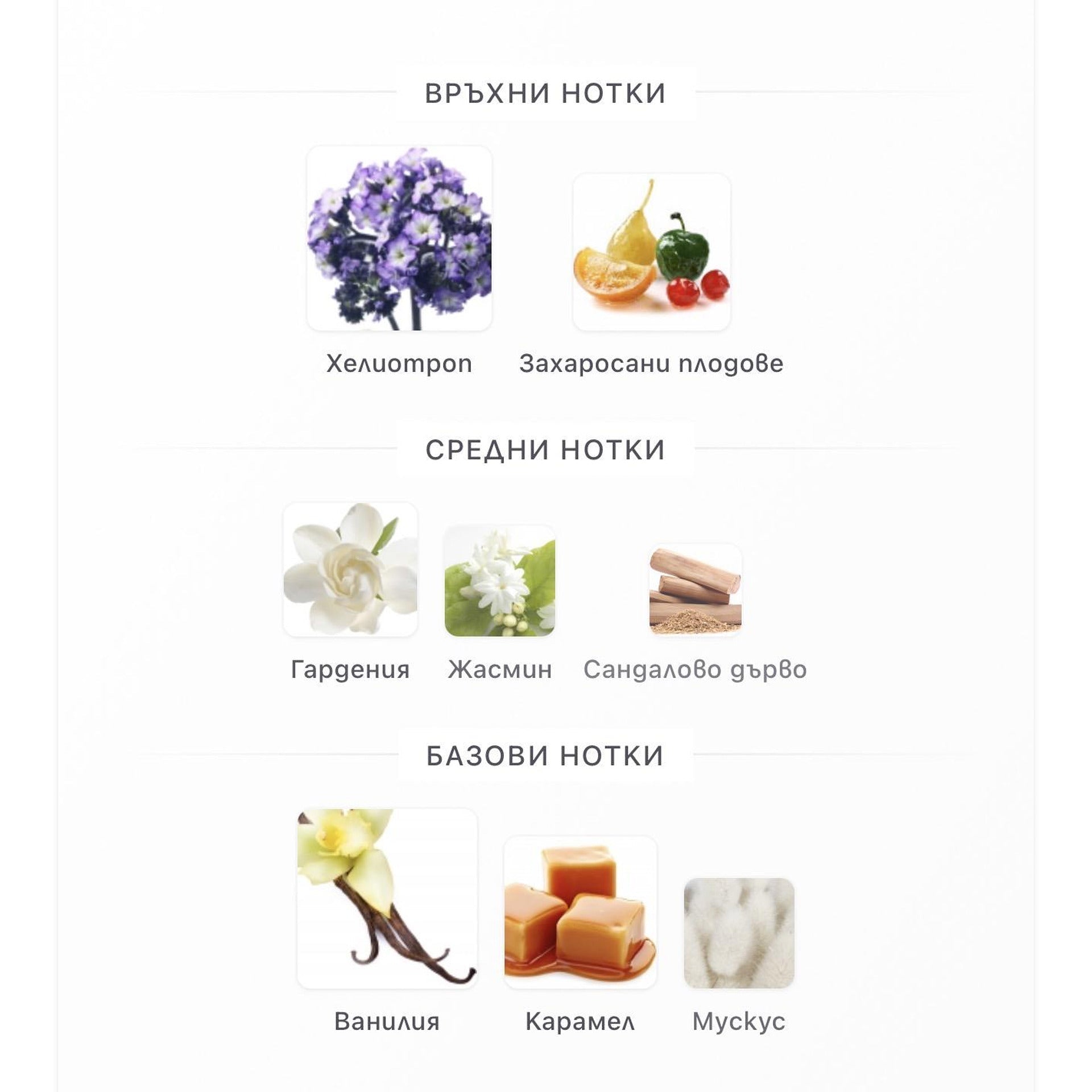 Fragrance World Bouquet of Euphoria EDP 100ml - оригинален арабски парфюм | Aroma Viva BG