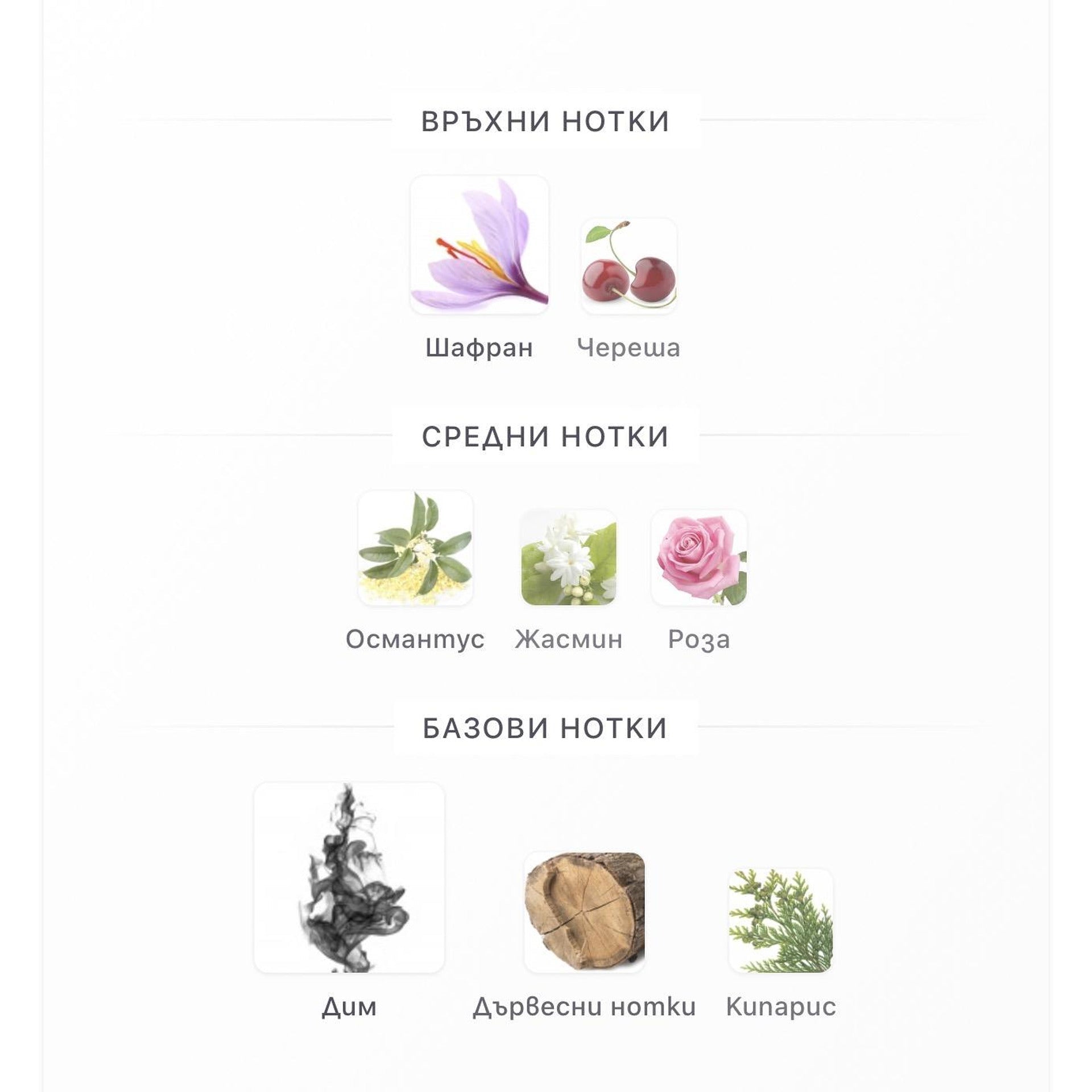 Fragrance World Cherry Incense EDP 80ml - оригинален арабски парфюм | Aroma Viva BG