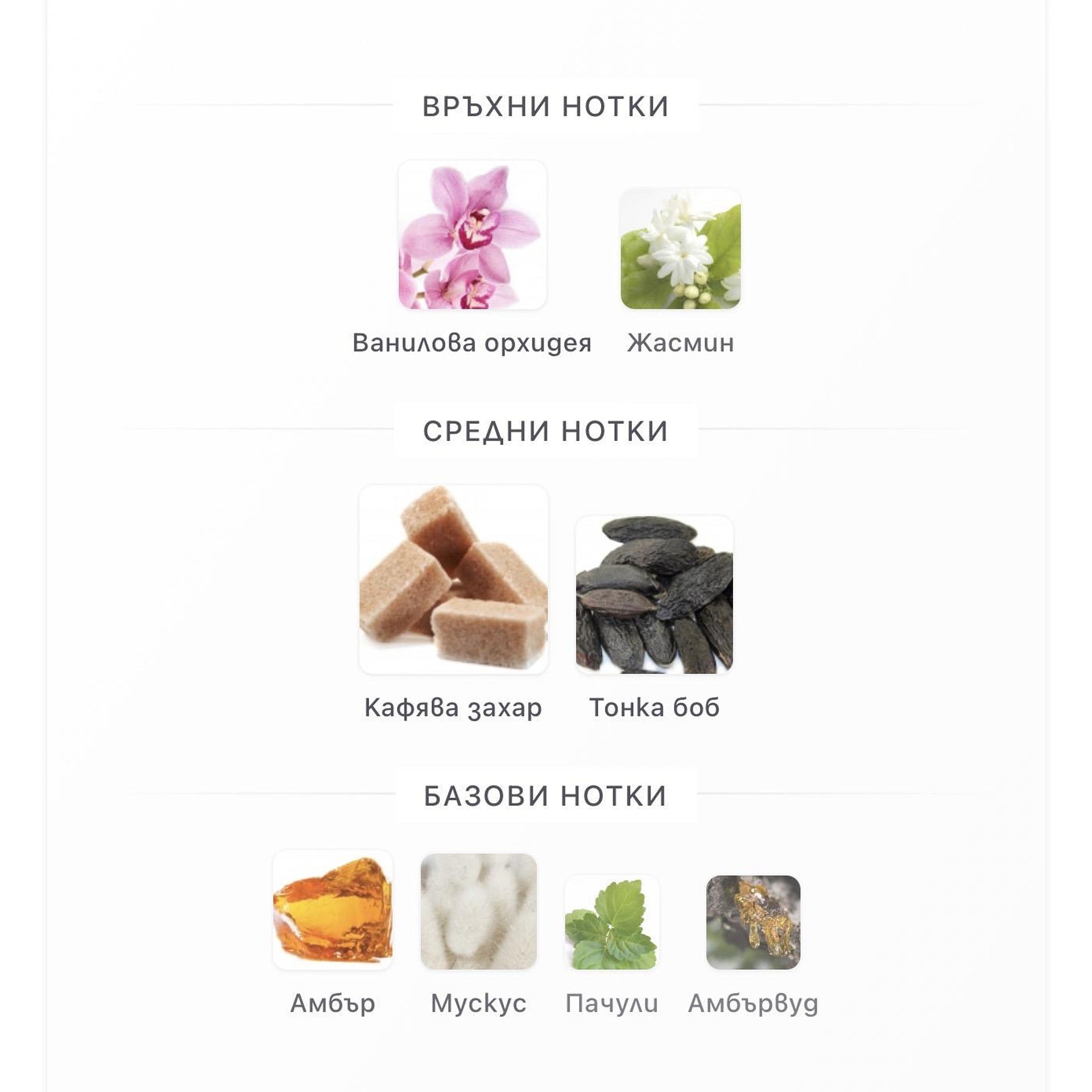 Fragrance World Elysia Vanilla Sugar EDP 100ml - оригинален арабски парфюм | Aroma Viva BG