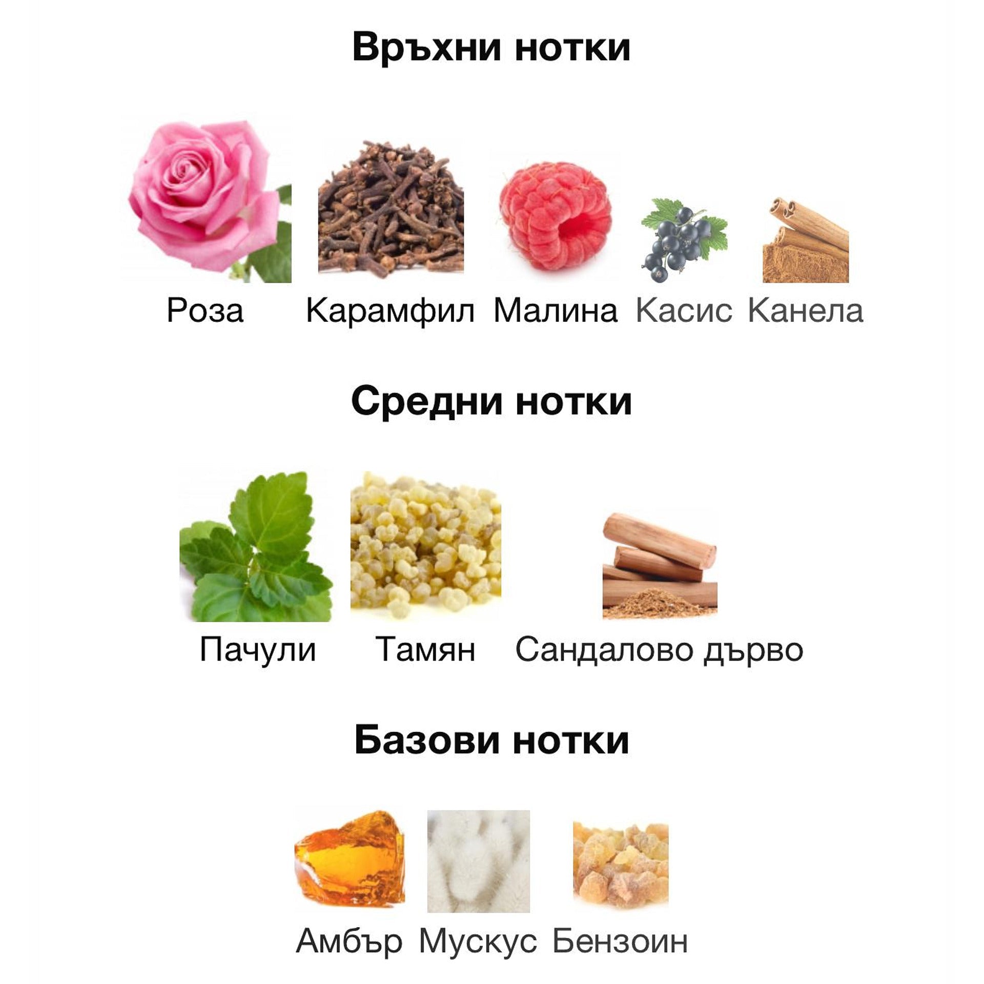 Fragrance World French Portrait EDP 100мл. - оригинален арабски парфюм | Aroma Viva BG