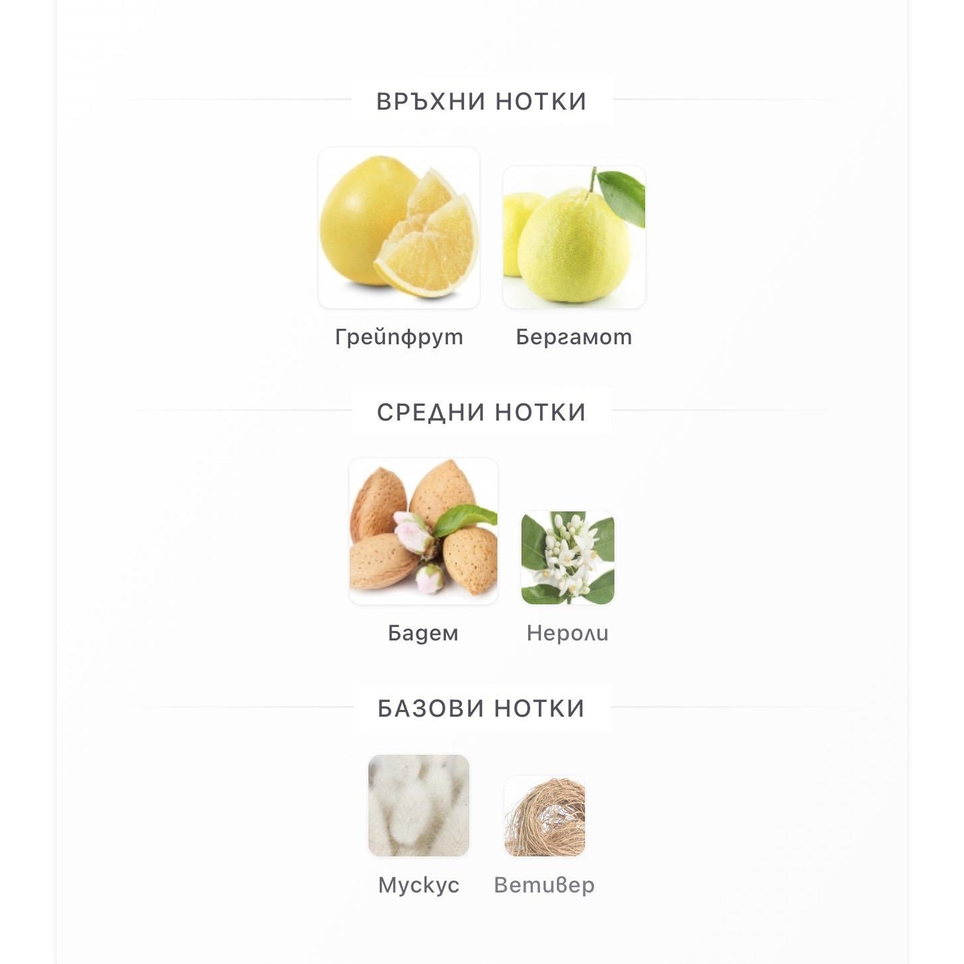 French Avenue Arsh ExDP 100ml - оригинален арабски парфюм | Aroma Viva BG