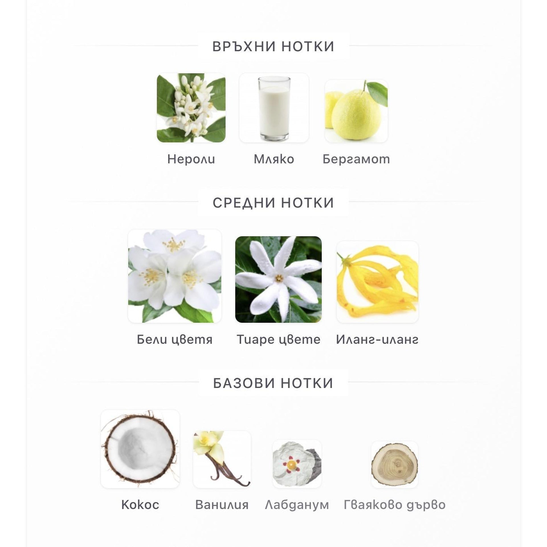 French Avenue Veneno Bianco EDP 100ml - оригинален арабски парфюм | Aroma Viva BG