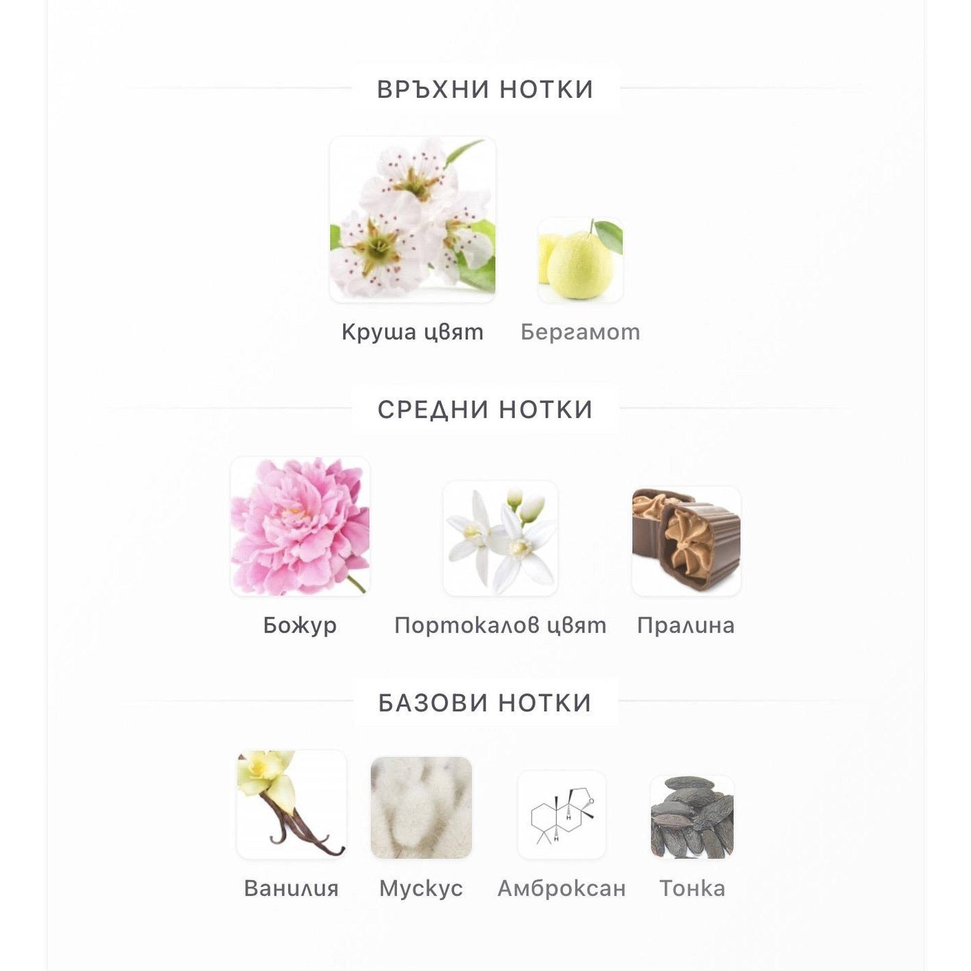 Lattafa Angham Second Song EDP 100ml - оригинален арабски парфюм | Aroma Viva BG