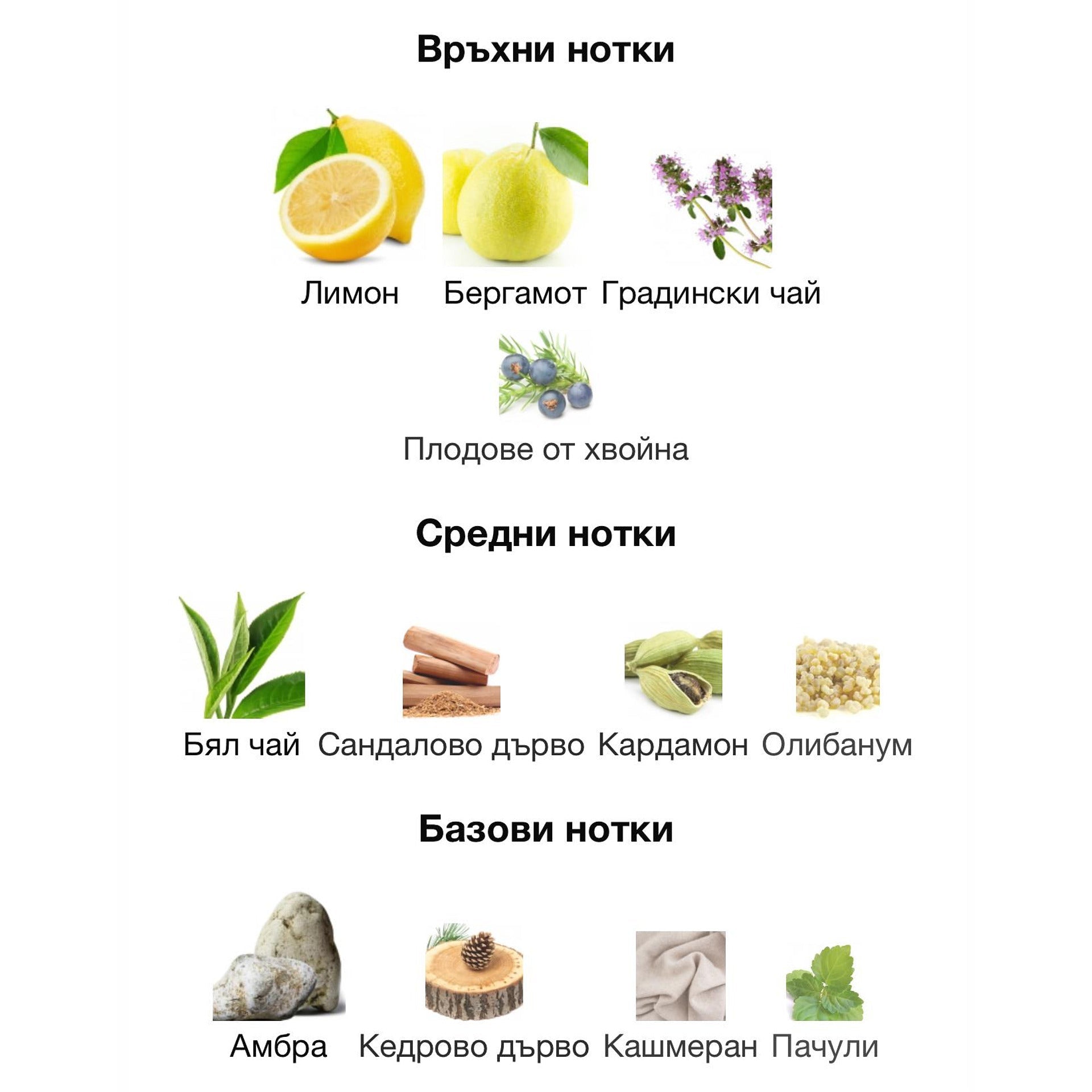 Lattafa Emeer EDP 100мл. - оригинален арабски парфюм | Aroma Viva BG