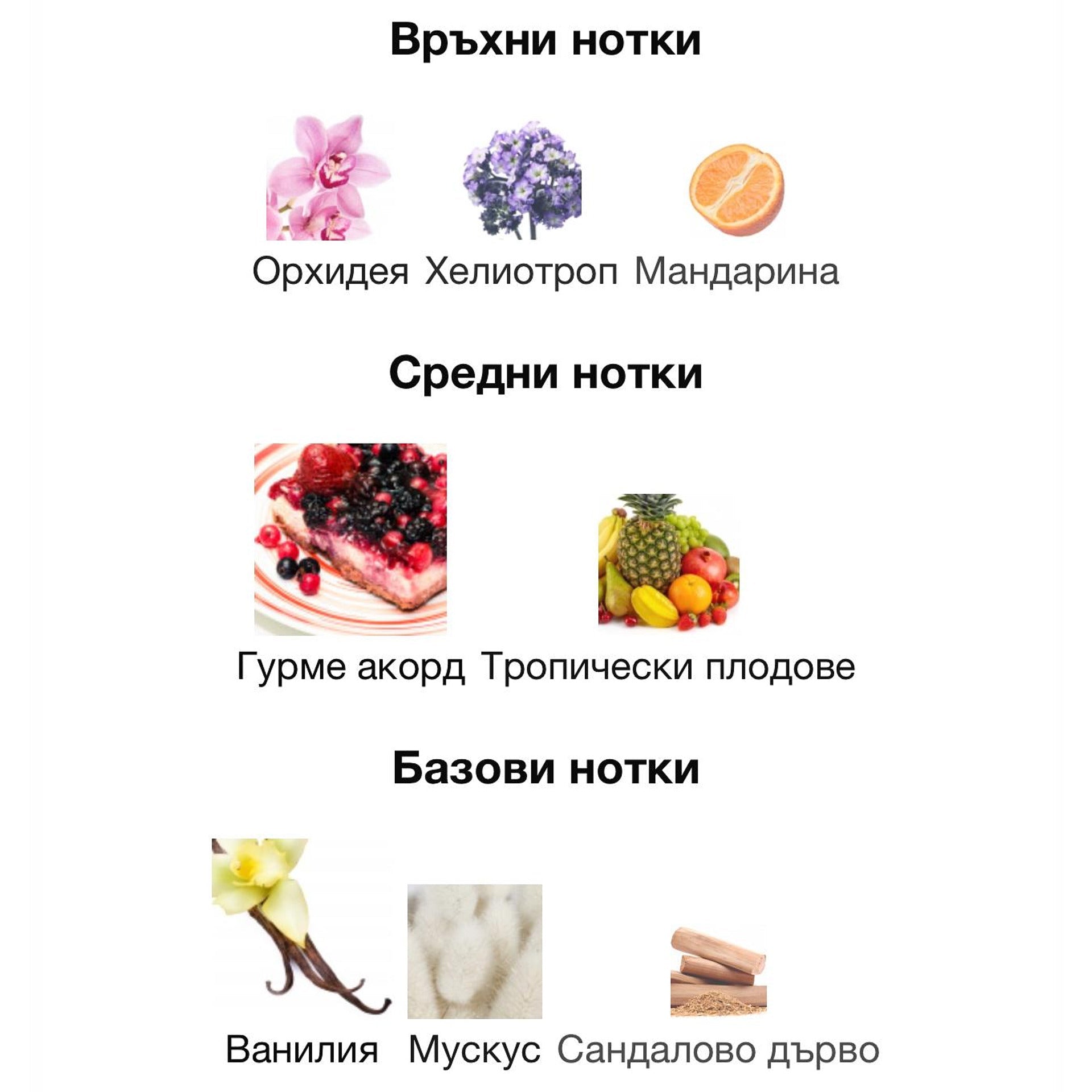 Lattafa Yara EDP 100мл. - оригинален арабски парфюм | Aroma Viva BG