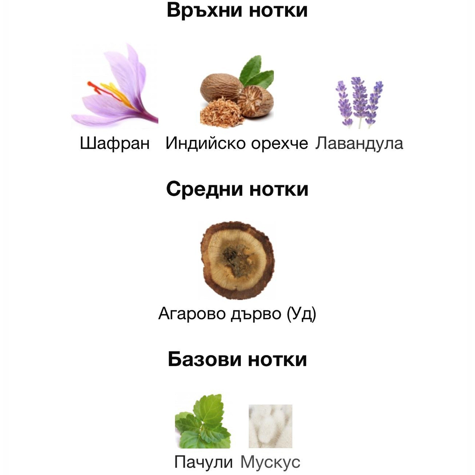 Minister of Oud Greatness ExDP 100мл. - оригинален арабски парфюм | Aroma Viva BG