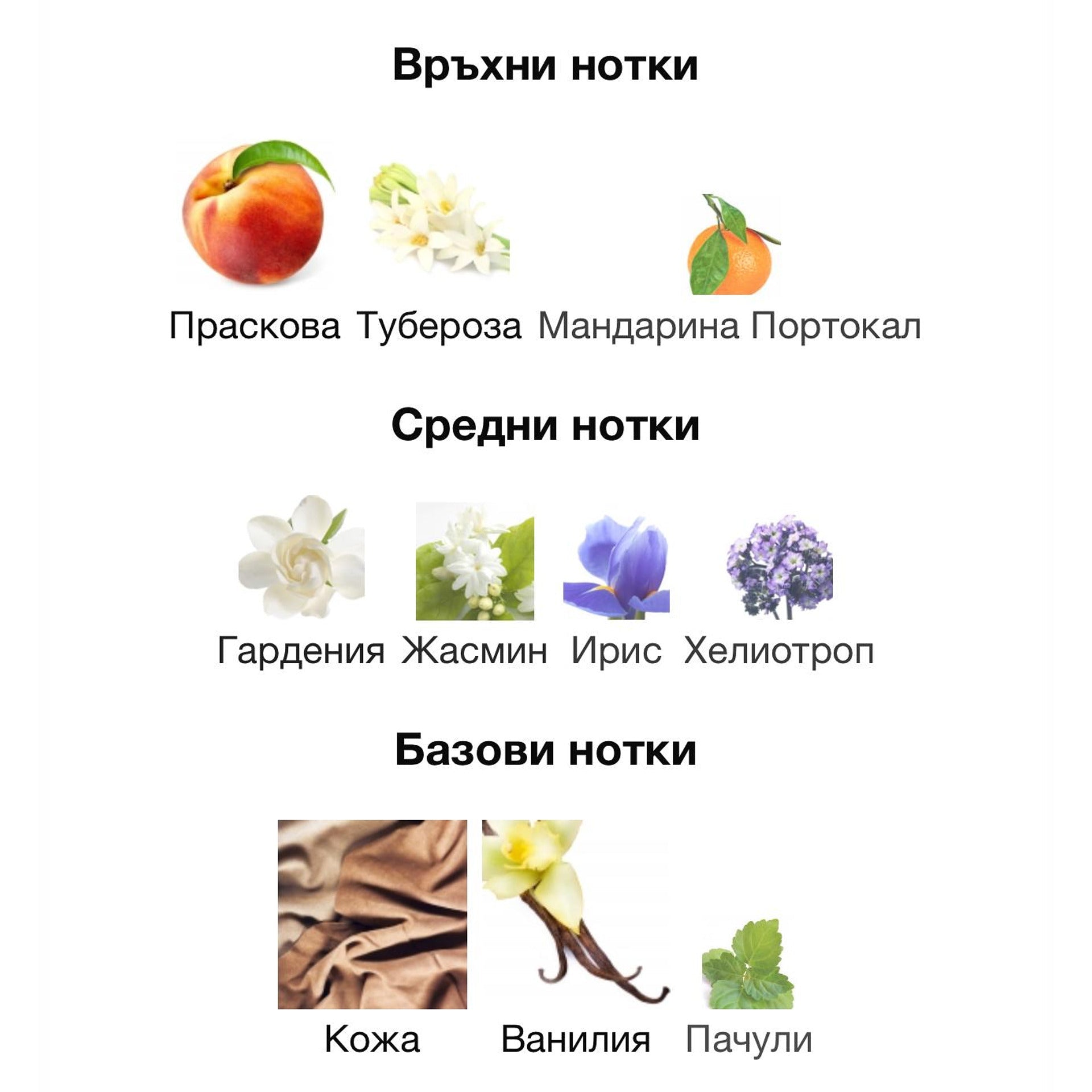 Nishane Hundred Silent Ways X ExDP 50мл. - оригинален арабски парфюм | Aroma Viva BG