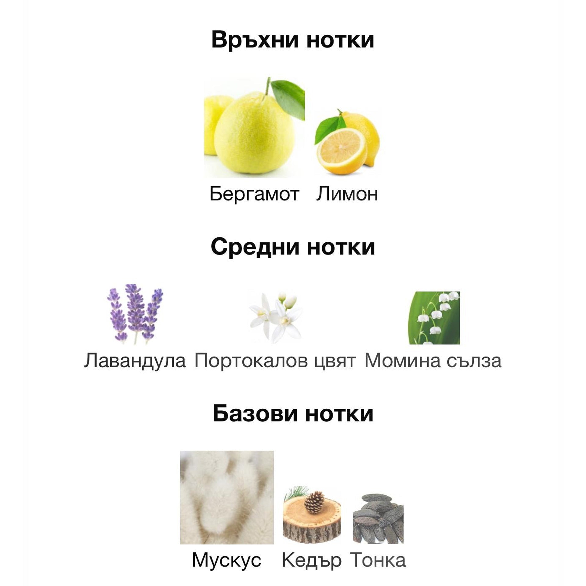 Orto Parisi Bergamask ExDP 50мл. - оригинален арабски парфюм | Aroma Viva BG