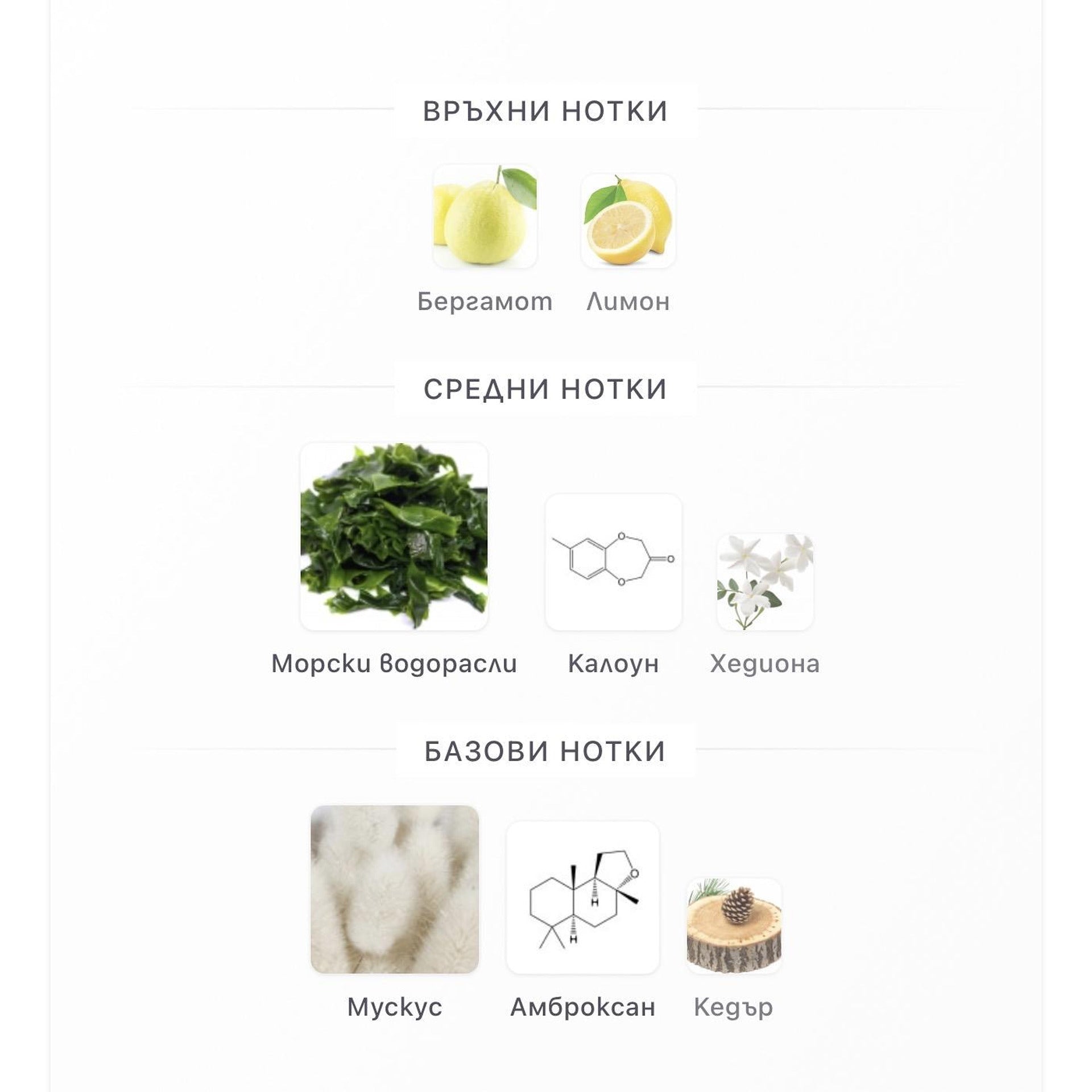 Orto Parisi Megamare ExDP 50мл. - оригинален арабски парфюм | Aroma Viva BG