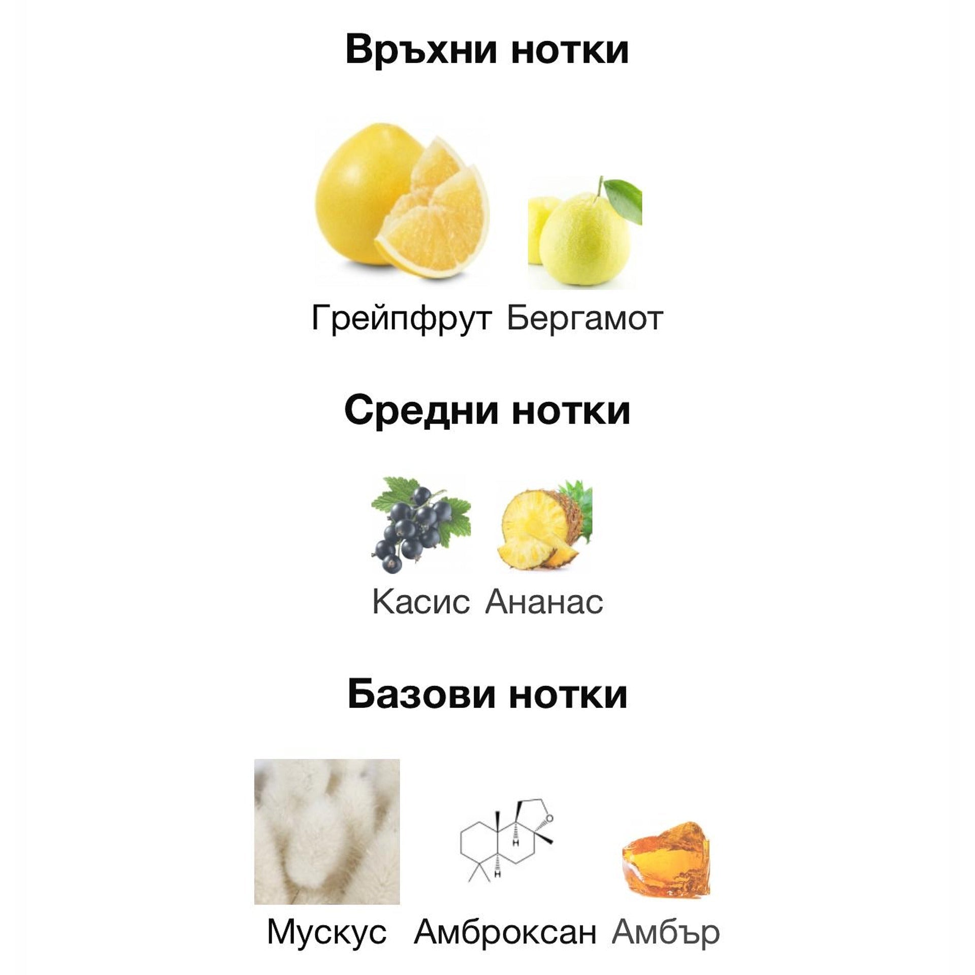 Orto Parisi Risvelium ExDP 50мл. - оригинален арабски парфюм | Aroma Viva BG