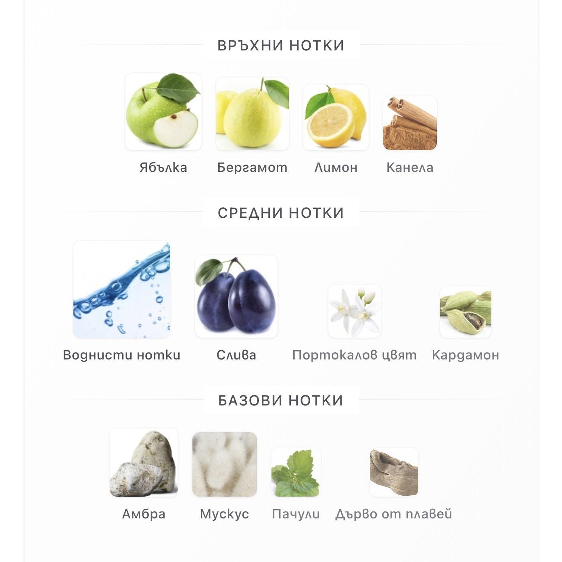 Rasasi Hawas EDP 100ml - оригинален арабски парфюм | Aroma Viva BG