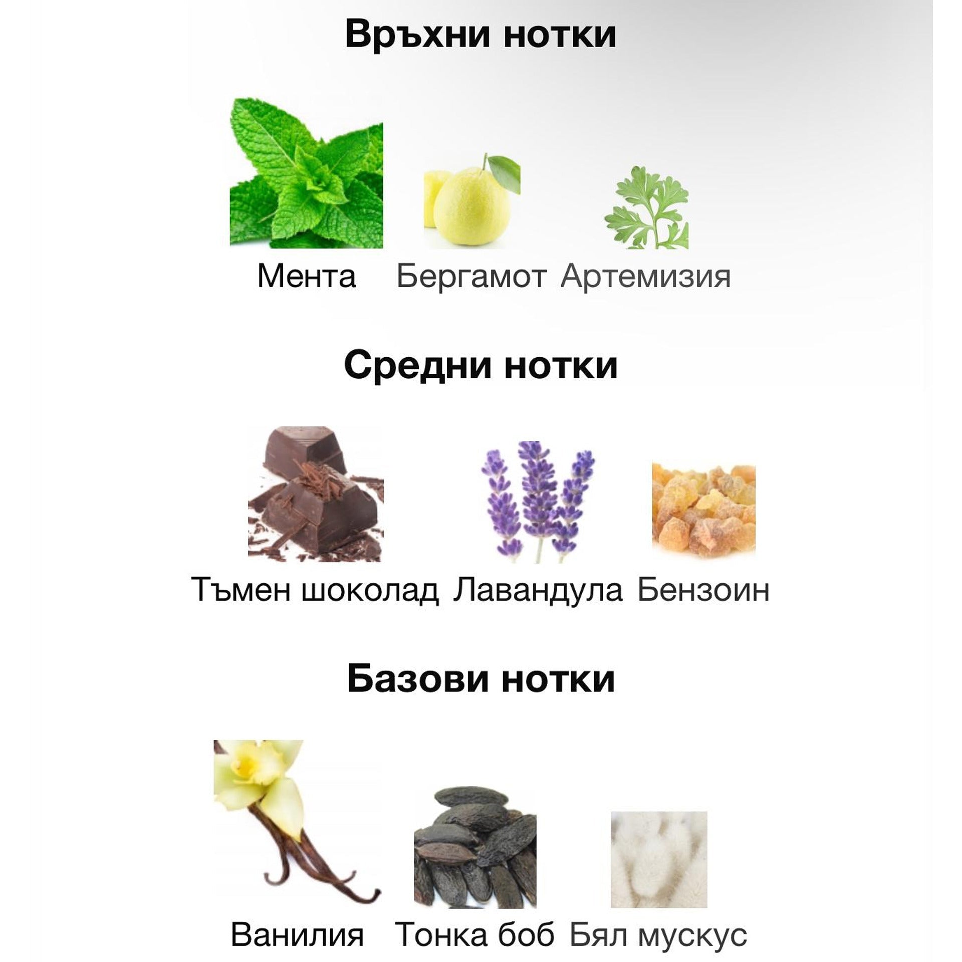 Rasasi Hawas Elixir EDP 100мл. - оригинален арабски парфюм | Aroma Viva BG