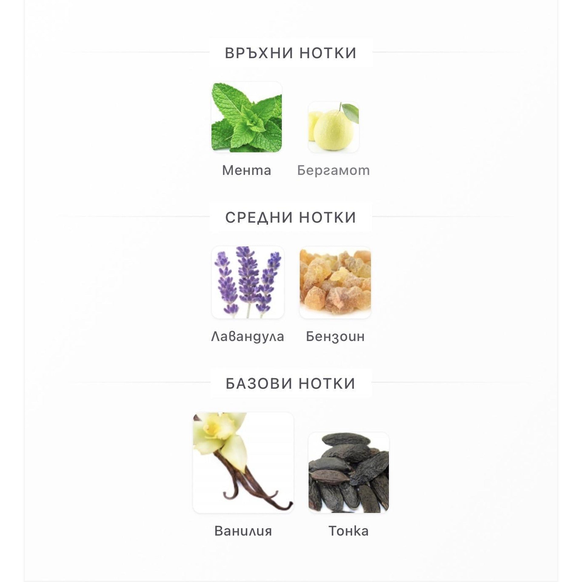 Rayhaan Elixir EDP 100ml - оригинален арабски парфюм | Aroma Viva BG