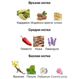 Afnan 9pm Elixir EDP 100мл. - оригинален арабски парфюм | Aroma Viva BG