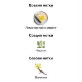 Lattafa Victoria EDP 100мл. - оригинален арабски парфюм | Aroma Viva BG